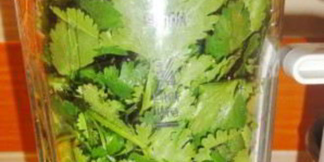 Рецепт грузинской аджики с орехами на зиму