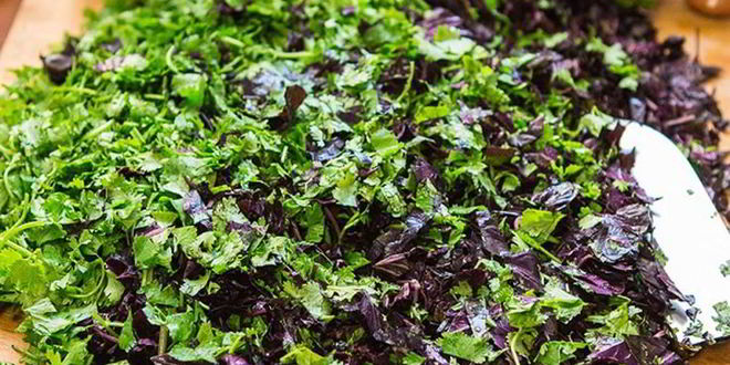 Рецепт кавказской аджики на зиму