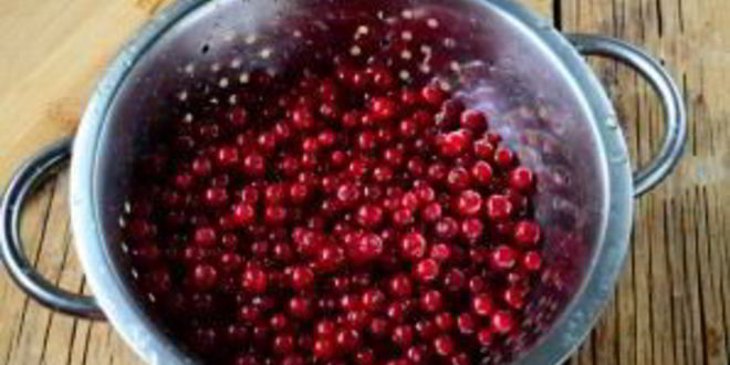 Рецепт джема из красной смородины на зиму