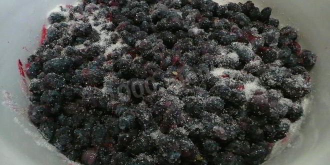 Рецепт джема из жимолости