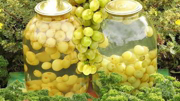 Рецепт Компота из белого винограда