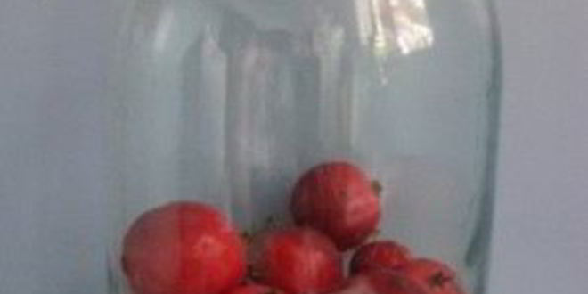 Рецепт компота из ранеток на зиму