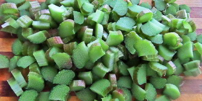 Рецепт компота из ревеня и лесной малины