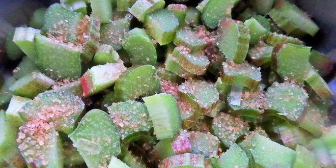 Рецепт компота из ревеня и лесной малины