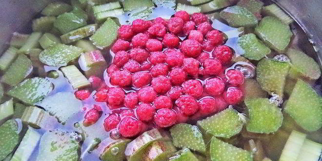 Рецепт компота из ревеня и лесной малины