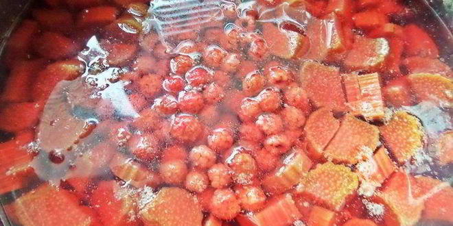 Рецепт компота из ревеня и лесной малины