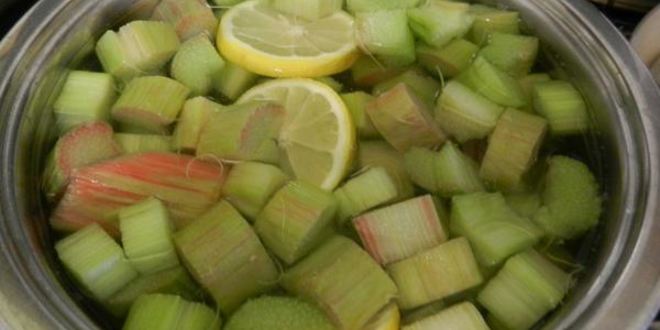Рецепт компота из ревеня со вкусом детства
