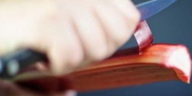 Рецепт компота из ревеня