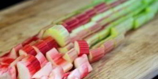 Рецепт компота из ревеня