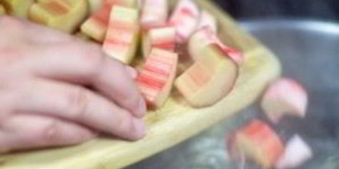 Рецепт компота из ревеня