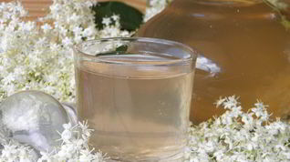 Рецепт Компота из цветков бузины