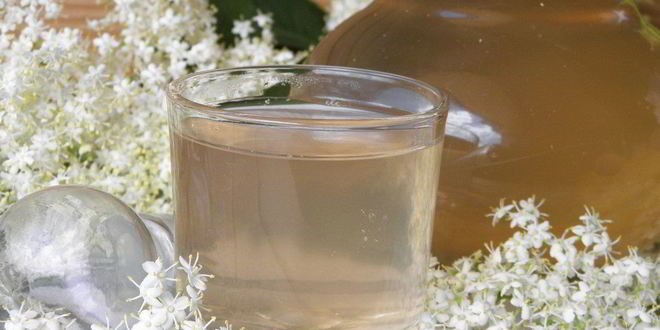 Рецепт Компота из цветков бузины