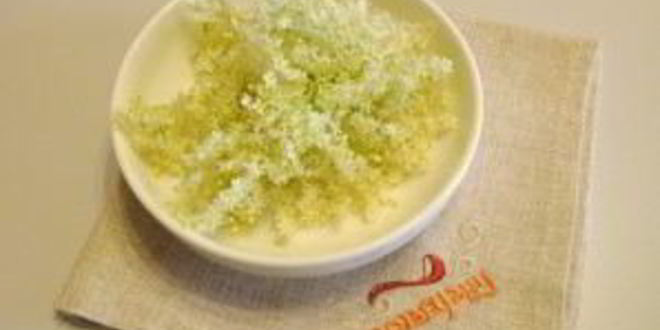 Рецепт компота из цветков бузины