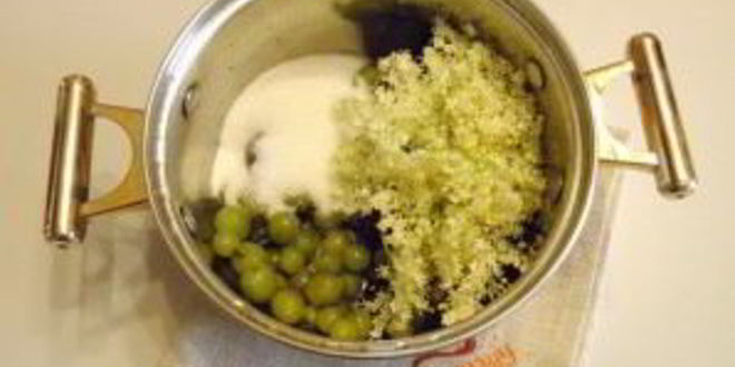 Рецепт компота из цветков бузины