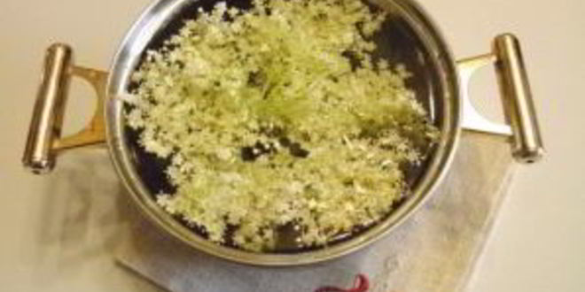 Рецепт компота из цветков бузины