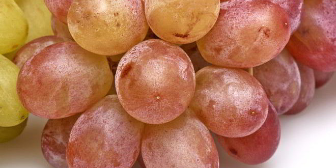 Рецепт Компота из винограда