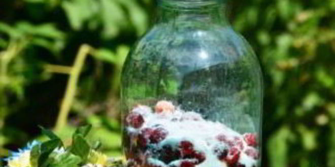 Рецепт компота из вишни и малины