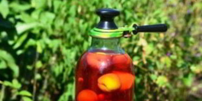 Рецепт компота из вишни и малины