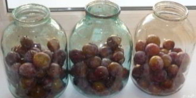 Рецепт закатки компота из слив