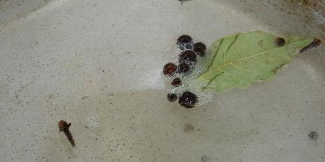 Рецепт грибов маринованных