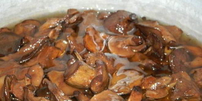 Рецепт грибов маринованных