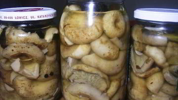 Рецепт Груздей маринованных хрустящих