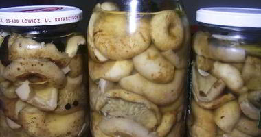 Рецепт Груздей маринованных хрустящих