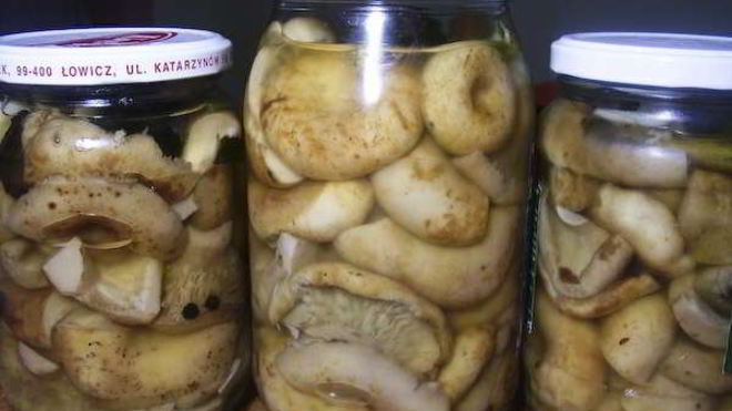 Рецепт груздей маринованных хрустящих