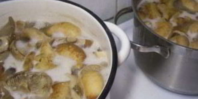 Рецепт груздей маринованных хрустящих