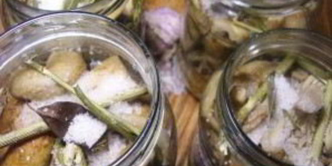 Рецепт груздей маринованных хрустящих