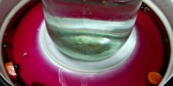 Рецепт капусты маринованной с чесноком и свеклой