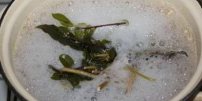 Рецепт маринованных белых грибов с корицей