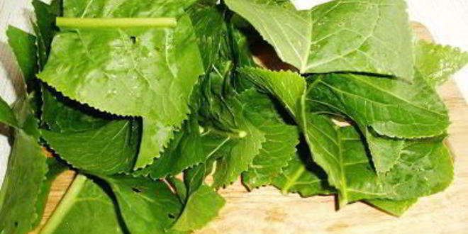 Рецепт маринованных кабачков на зиму