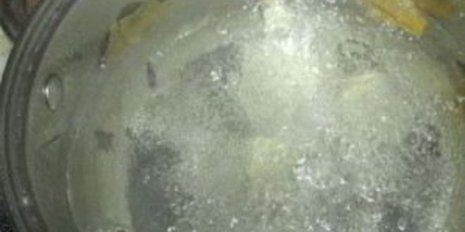 Рецепт маринованных лисичек без уксуса