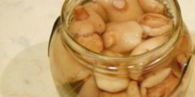 Рецепт маринованных маслят без закатки