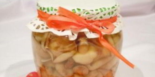 Рецепт маринованных маслят без закатки
