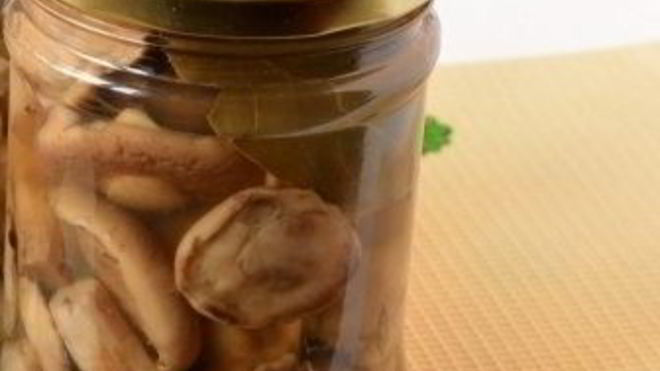 Рецепт маринованных маслят с горчицей