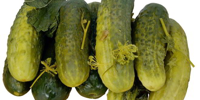 Рецепт Маринованных огурцов без стерилизации