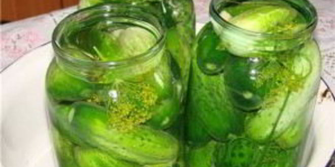 Рецепт маринованных огурцов без стерилизации