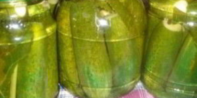 Рецепт маринованных огурцов без стерилизации
