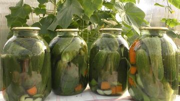 Рецепт Маринованных огурцов на зиму хрустящие без стерилизации