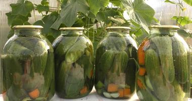 Рецепт Маринованных огурцов на зиму хрустящие без стерилизации