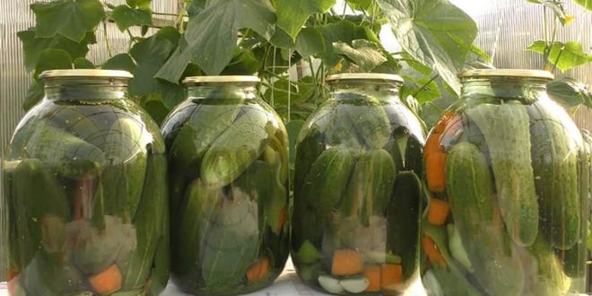 Рецепт Маринованных огурцов на зиму хрустящие без стерилизации