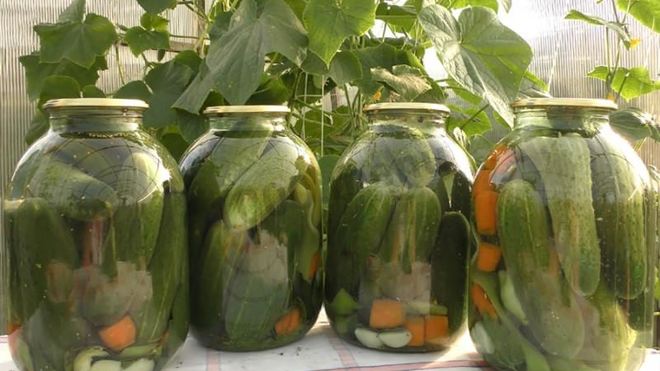 Рецепт маринованных огурцов на зиму хрустящие без стерилизации