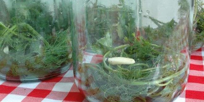 Рецепт маринованных овощей на зиму