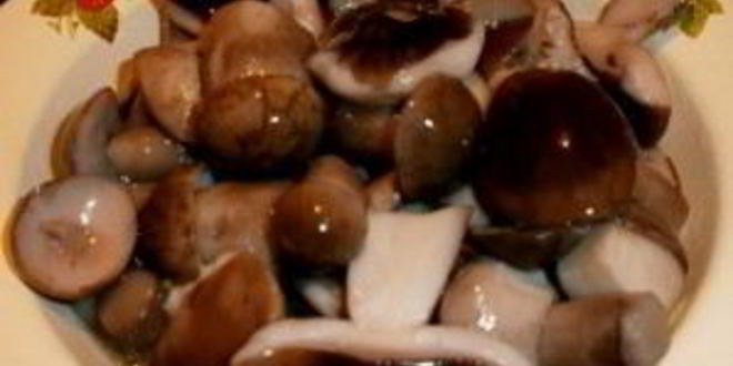 Рецепт маринованных подберезовиков на зиму