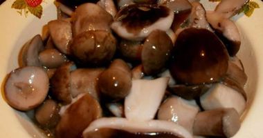 Рецепт Маринованных подберезовиков