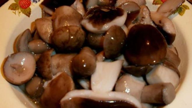 Рецепт маринованных подберезовиков