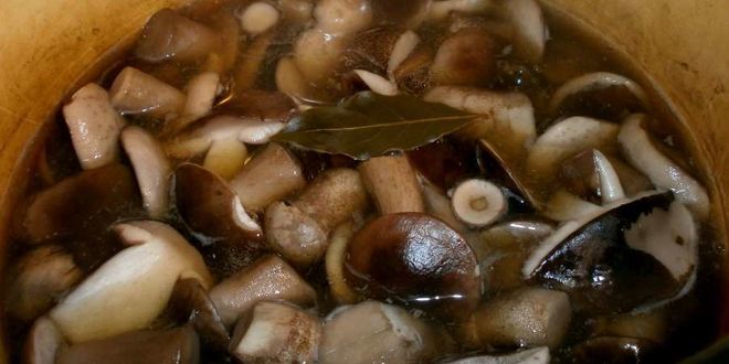 Рецепт маринованных подберезовиков