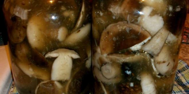 Рецепт маринованных подберезовиков